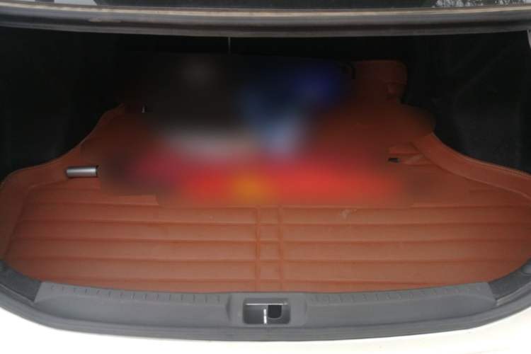 Used Great Wall C30 New Energy 2017 EV Luxury Model Trunk