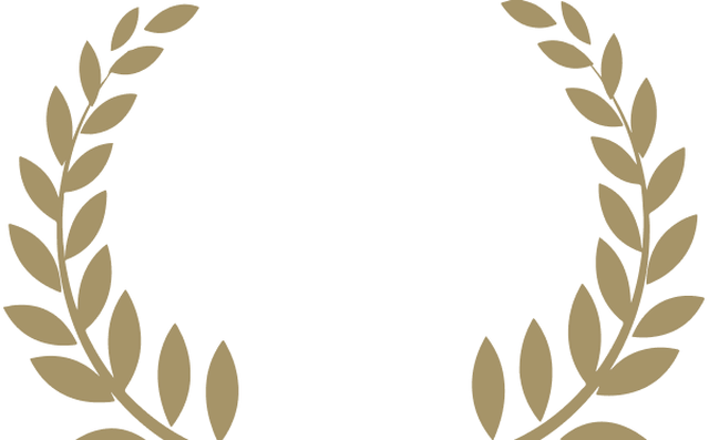 level-bg