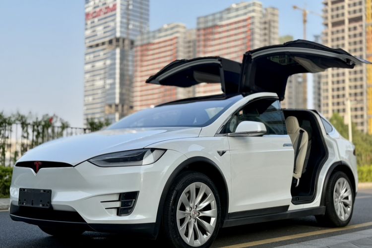 Used Tesla Model X 2019 Long-Range Version