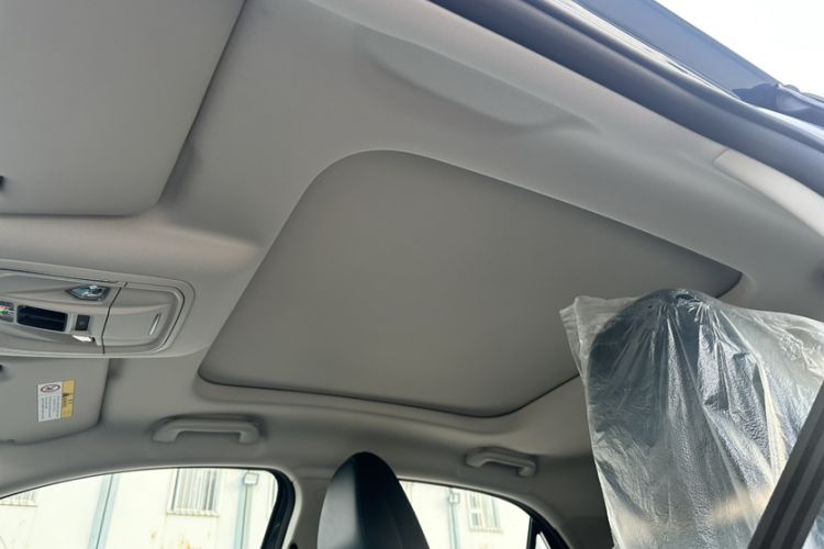 Used ORA Good Cat 2024 401 km Luxury Version