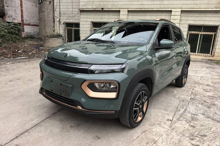 Used Dongfeng NAMMI EX1 2023 PRO Light Wind Edition Lightning Model
