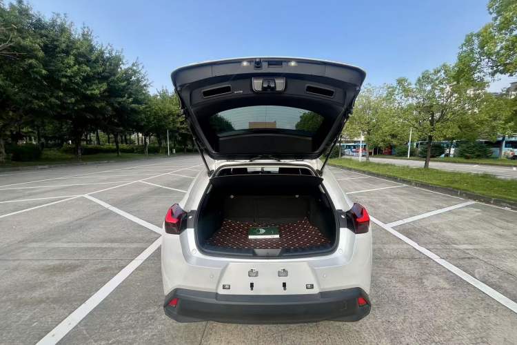 Used Lexus UX New Energy 2020 300e Pure·Enjoy Edition