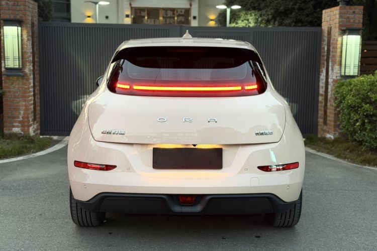 Used ORA Good Cat 2024 401 km Luxury Version