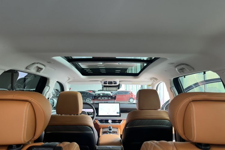 Used Tank 500 New Energy 2025 Hi4-Z Headliner