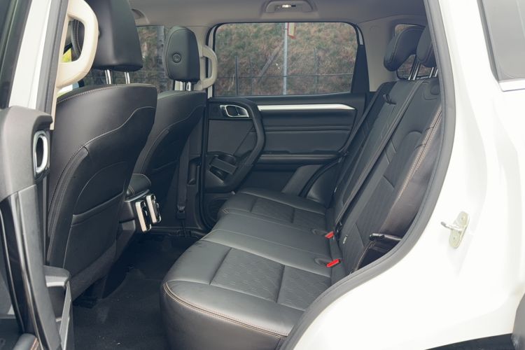 Used Haval DARGO 2022 2.0T DCT 4x4 Chinese Rural Dog Edition Left Rear Seat