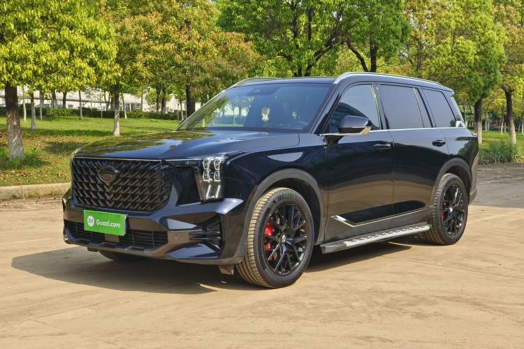 Used GAC Trumpchi GS8 2024 Linghang Series 2.0 TGDI Two-Wheel Drive Luxury Smart Connectivity Version