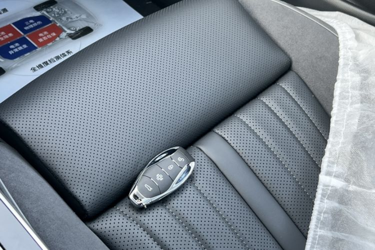 Used Hongqi H9 2024 2.0T Qichang Private Enjoyment Luxury Edition
