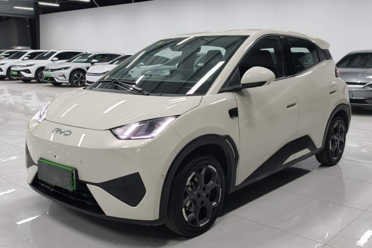 Used BYD Seagull 2025 Smart Drive Version 305 km Freedom Edition