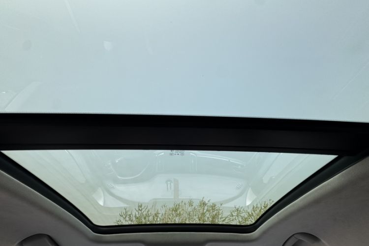 Used Hongqi HS7 2022 3.0T Automatic All-Wheel Drive ZhiLian Flagship Edition Five Seats Headliner