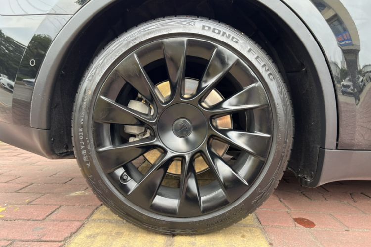 Used Tesla Model Y 2021 Standard Range Rear-Wheel Drive Version
