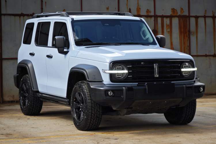 Used Tank 300 2021 2.0T Monet Tribute Limited Edition