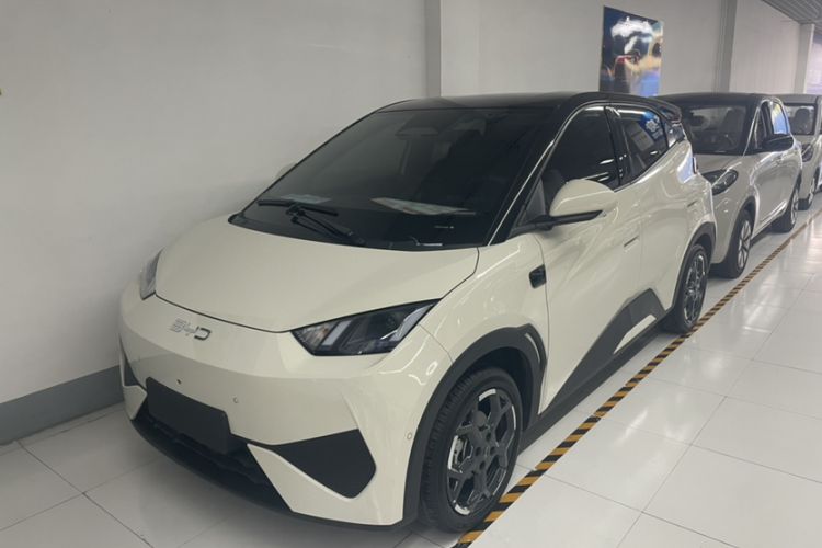 Used BYD Seagull 2025 Smart Drive Version 305 km Freedom Edition