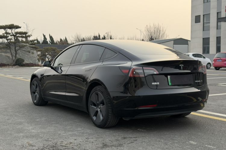 Used Tesla Model 3 2021 Revised Version Standard Range Rear-Wheel Drive Upgraded Edition 3D1