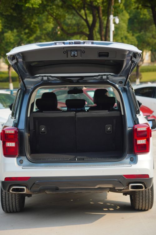 Used GAC Trumpchi GS8 2017 320T Two-Wheel Drive Luxury Smart Connectivity Version (7 Seats)
