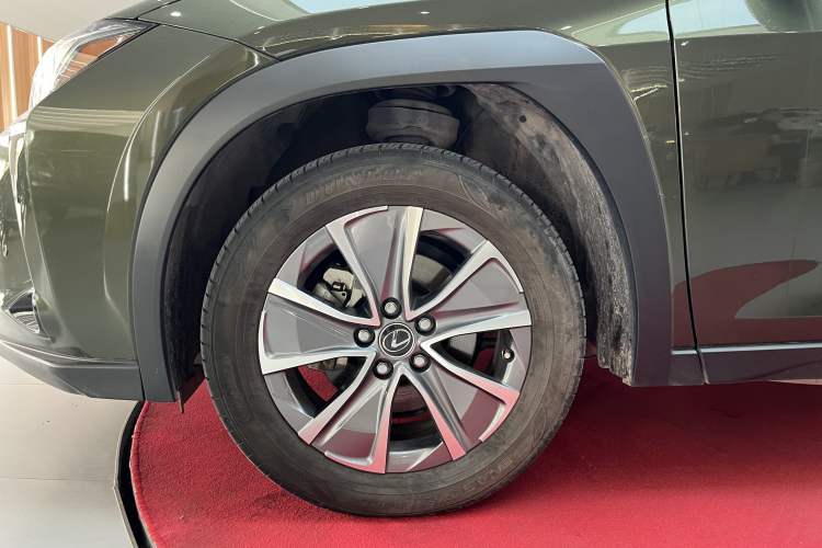 Used Lexus UX New Energy 2020 300e Pure·Joy Edition Exterior 8