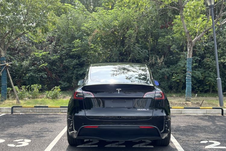 Used Tesla Model Y 2022 Performance High-Performance All-Wheel-Drive Version