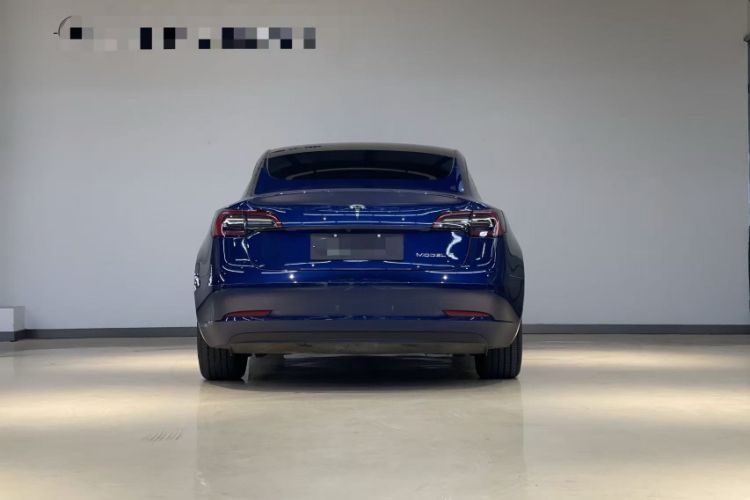 Used Tesla Model 3 2021 Standard Range Rear-Wheel Drive Upgraded Version 3D6
