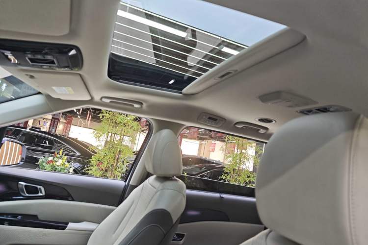 Used Kia Carnival 2021 2.0T Flagship Edition