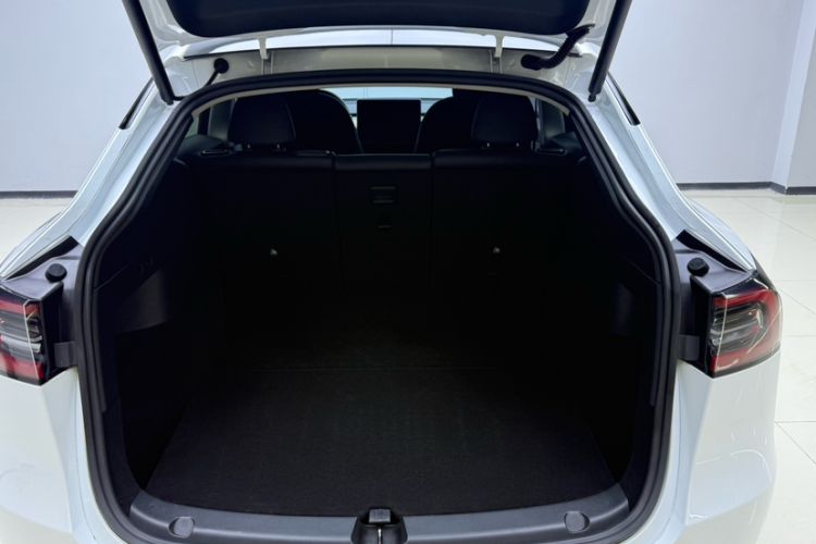 Used Tesla Model Y 2021 Standard Range Rear-Wheel Drive Version