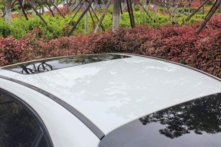 Used Mercedes-Benz C-Class 2019 C 260 Sport Edition Roof