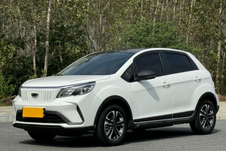 Used Geometry EX3 Kung Fu Cow 2021 Tough Bull Cow