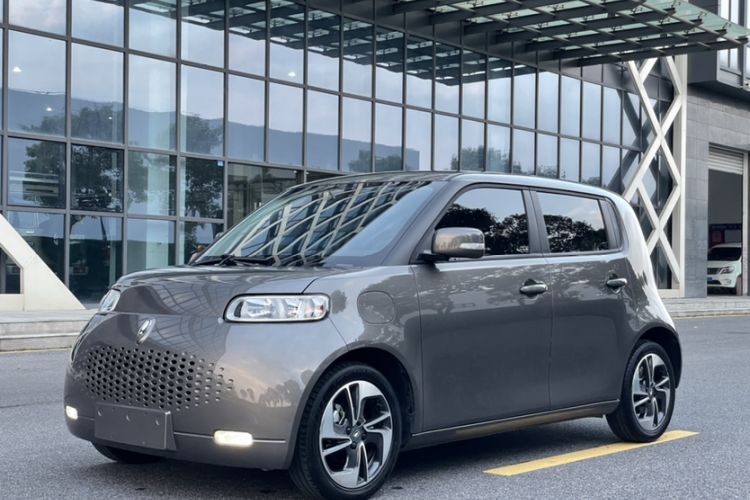 Used ORA White Cat 2020 360km Standard Version