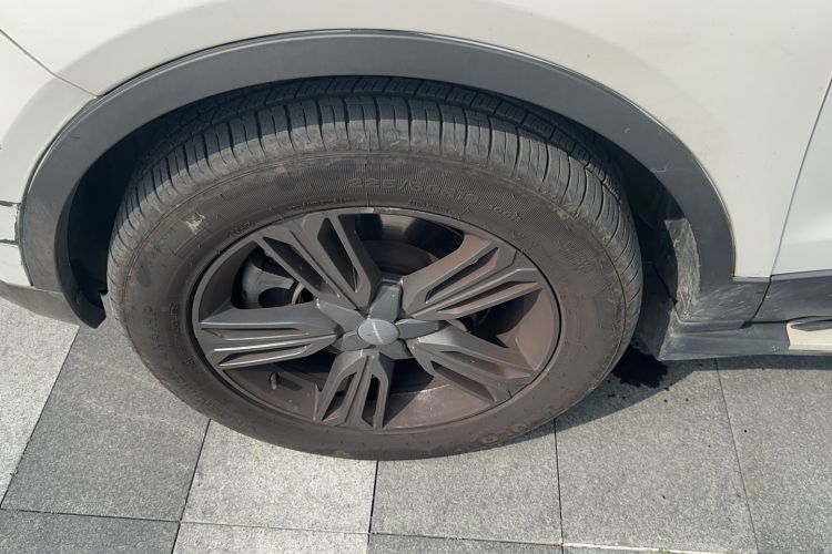 Used Leopaard CS10 2017 2.0T Automatic Urban Version
