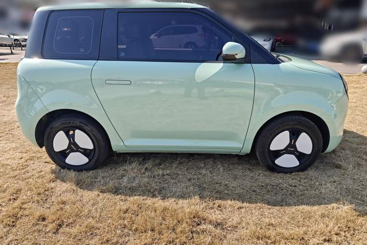 Used Qiyuan Lumin 2022 210km Sweet Edition
