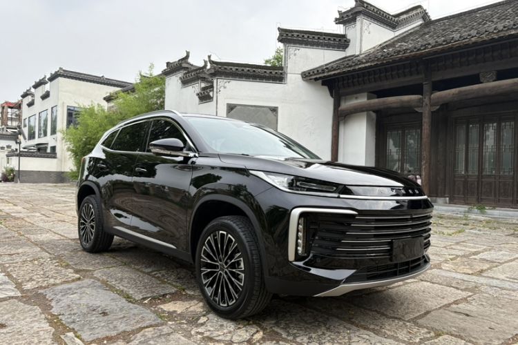 Used EXEED Lingyun 2025 300T Two-Wheel Drive Starry Edition
