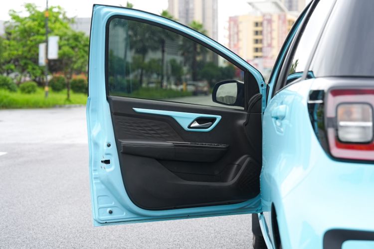 Used SOL E10X 2022 Flower Fairy Style Baby's Breath