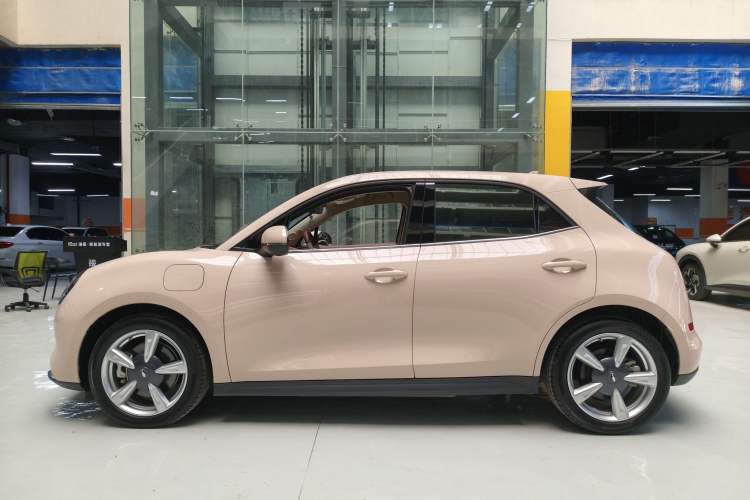 Used ORA Good Cat 2023 401 km Standard Range Luxury Version Lithium Iron Phosphate
