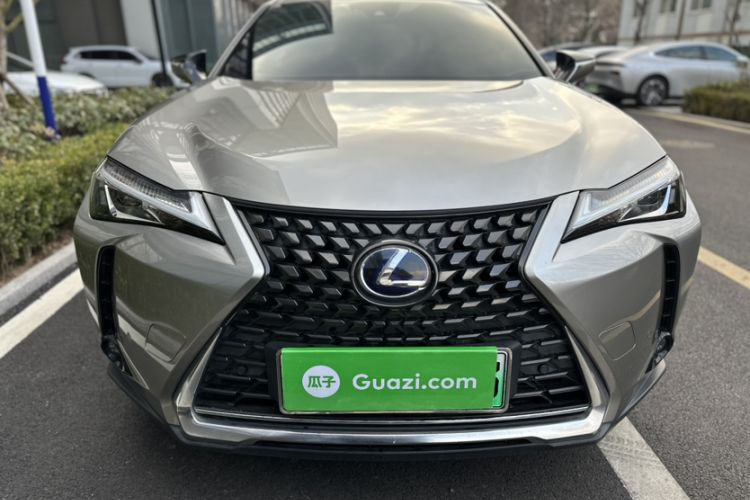 Used Lexus UX New Energy 2020 300e Pure·Joy Edition