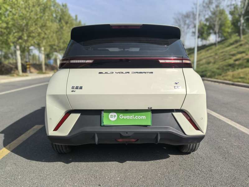 Used BYD Seagull 2023 Free Edition — 36