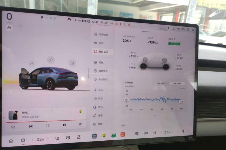 Used ONVO L60 2024 60 kWh Rear-Drive Version