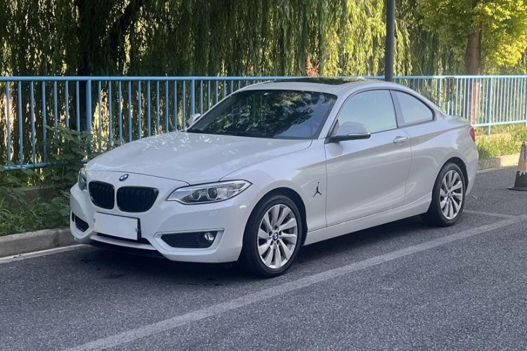 Used BMW 2 Series 2014 220i Leading Model