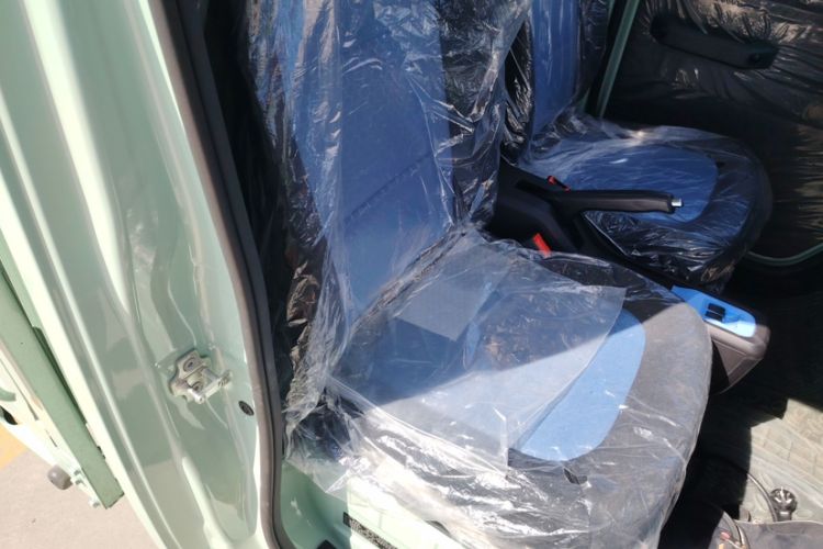 Used REACH MINI Truck 2025 Model 150 km Flatbed—Striving Type
