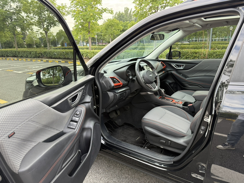 Interior delantero
