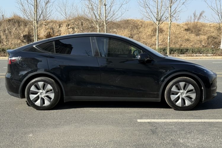 Used Tesla Model Y 2021 Standard Range Rear-Wheel Drive Version
