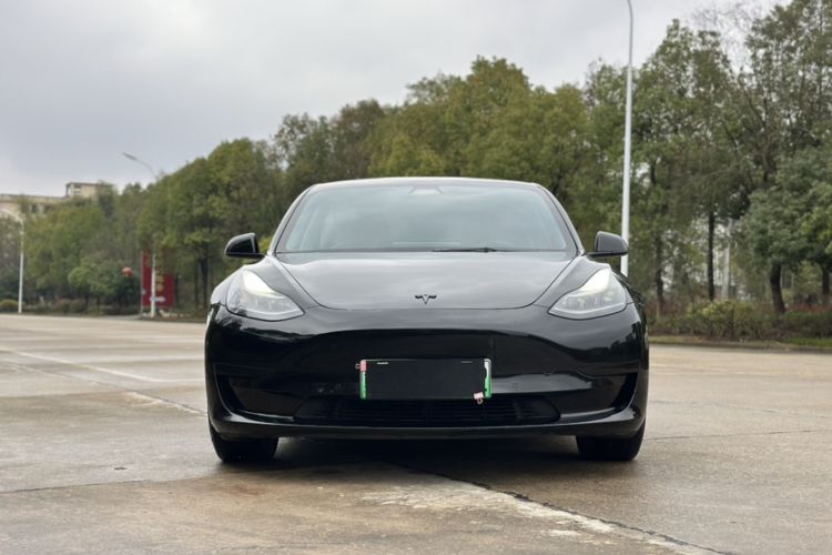 Used Tesla Model 3 2021 Standard Range Rear-Wheel Drive Upgraded Version 3D6
