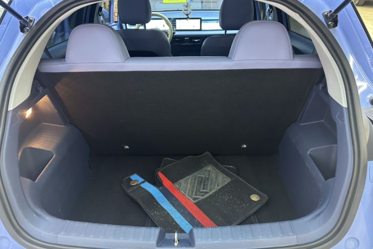 Used Geometry E Firefly 2022 401KM Lightning Tiger 4-Seater