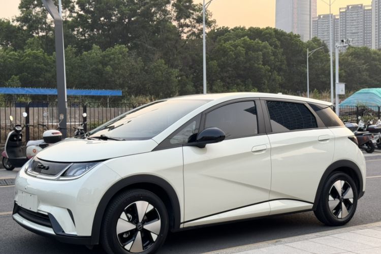 Used BYD Dolphin 2023 420 km Free Version