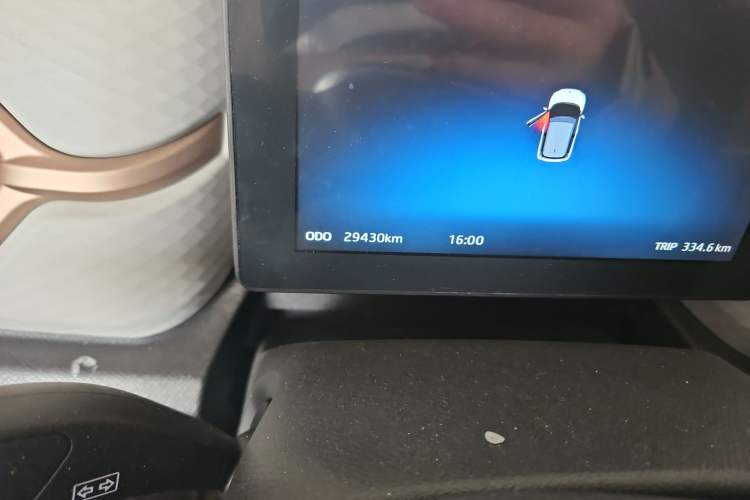 Used SOL E10X 2022 Flower Fairy Design Four-Leaf Clover