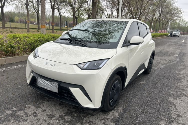 Used BYD Seagull 2025 305km Active Version