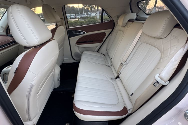 Used ORA Good Cat 2023 401 km Standard Range Luxury Version Lithium Iron Phosphate
