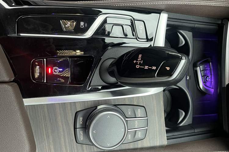 Used BMW 5 Series New Energy 2021 535Le Luxury Package
