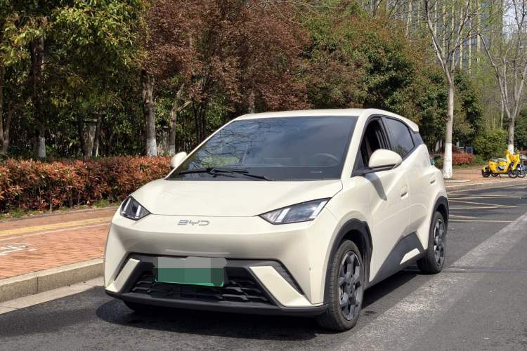 Used BYD Seagull 2025 305 km Free Version