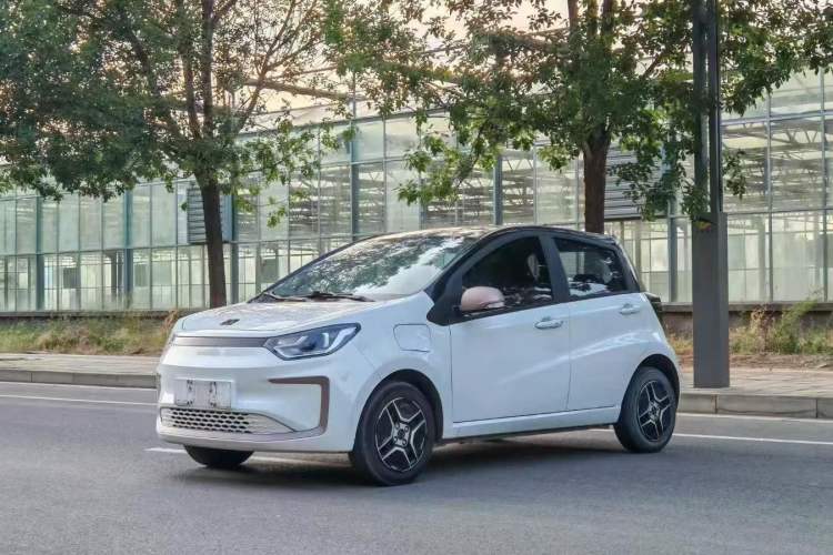 Used SOL E10X 2022 Flower Fairy Design Four-Leaf Clover