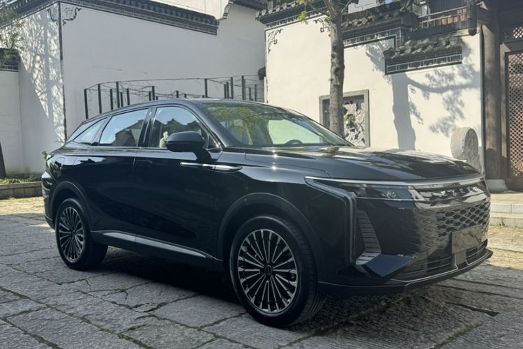 Used EXEED Stellar C-DM 2024 1.5T Long-Range Pro Exterior 4