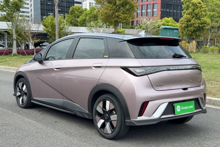 Used BYD Dolphin 2023 401km Knight Edition Exterior 2