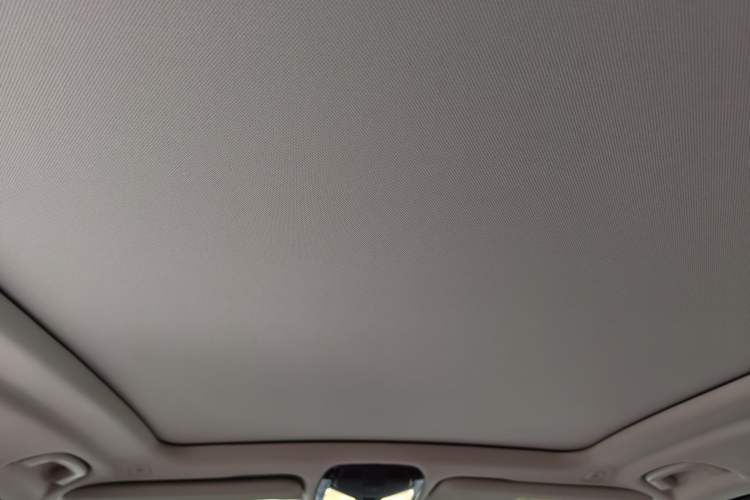 Used BMW X5 2023 xDrive 30Li M Sport Package Headliner